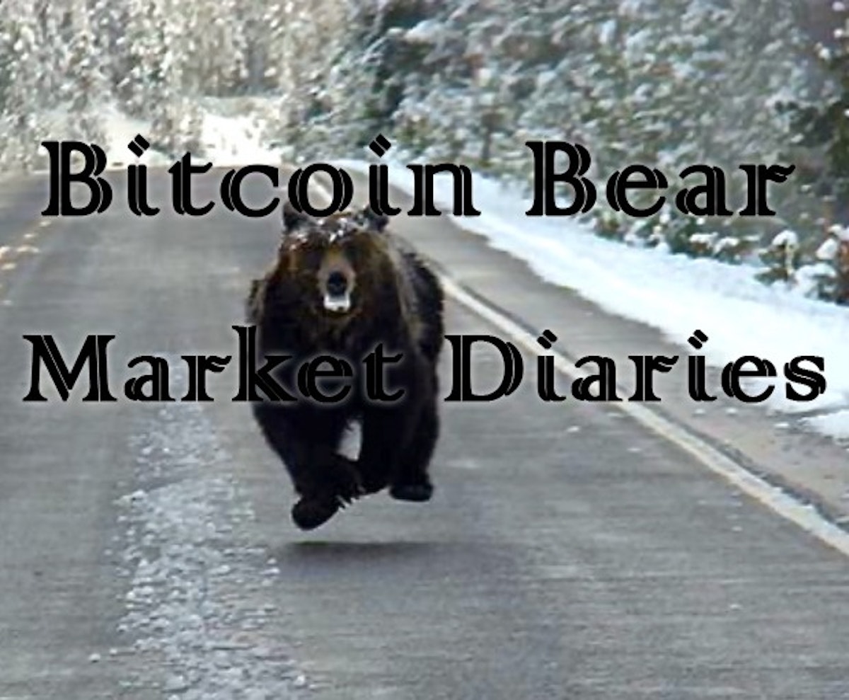 featured image - Excerpts from the Bitcoin Bear Market Diaries