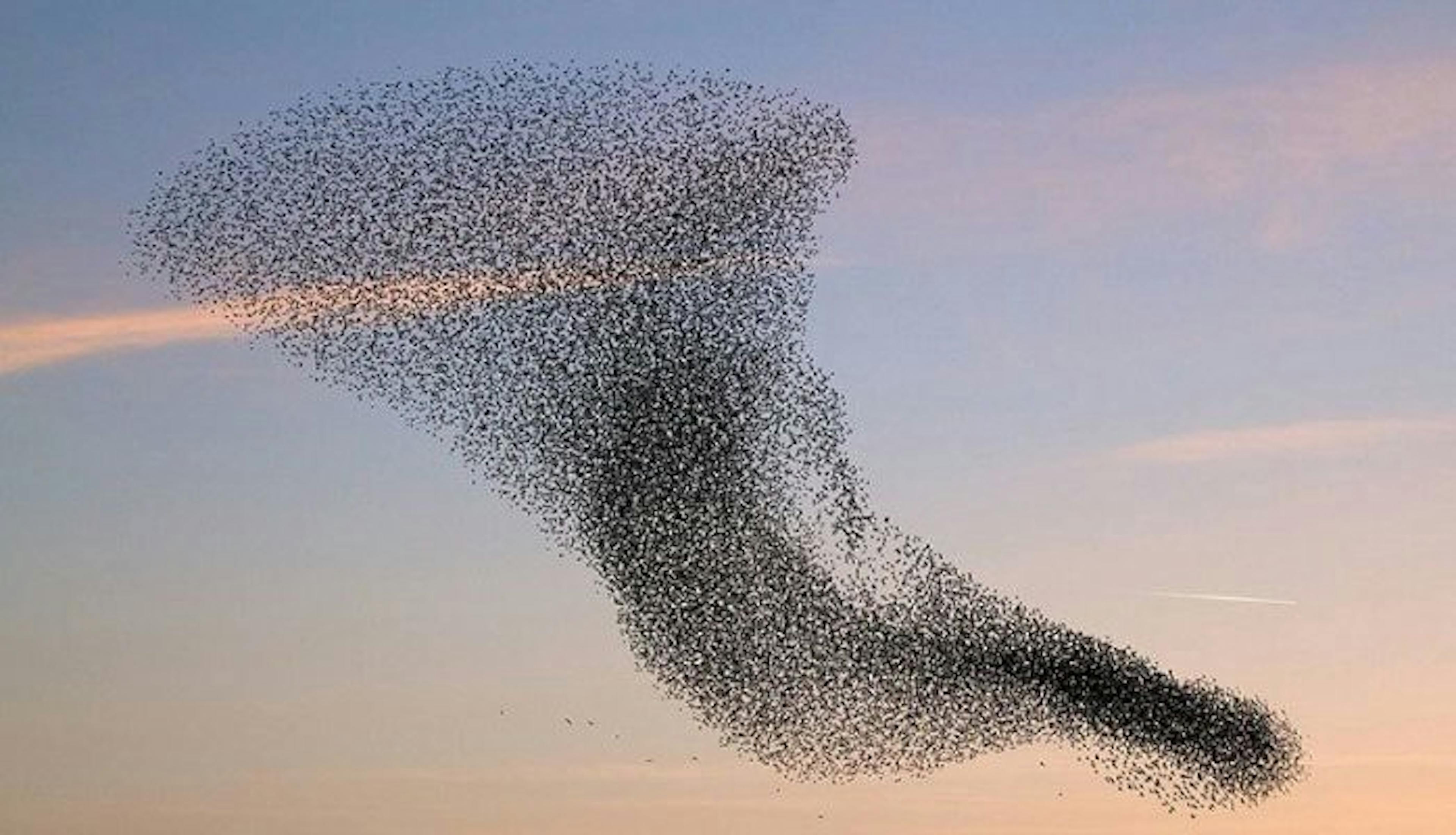 /a-beginners-guide-to-federated-learning-b29e29ba65cf feature image