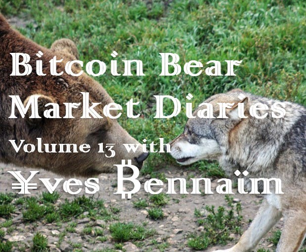 /bitcoin-bear-market-diaries-volume-13-yves-bennaim-48c9ddc59c43 feature image