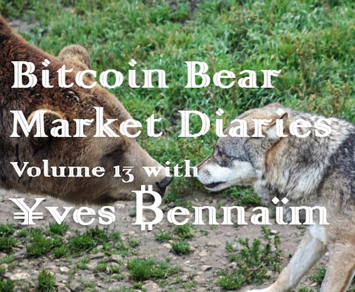 featured image - Bitcoin Bear Market Diaries Volume 13 Yves Bennaim