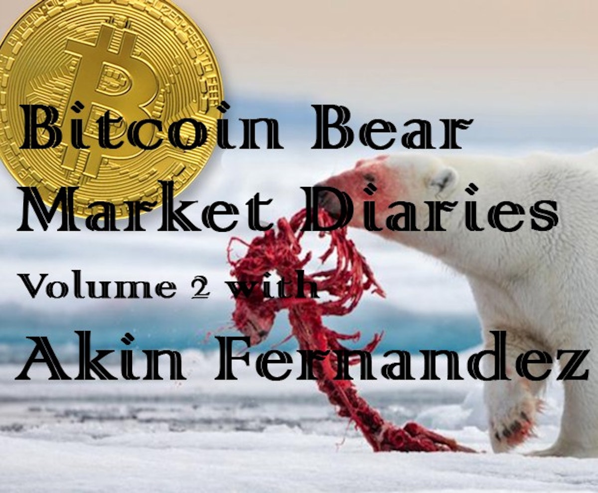 featured image - Bitcoin Bear Market Diaries Volume 2 with Akin Fernandez