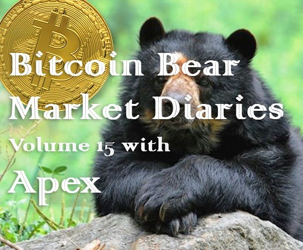 /bitcoin-bear-market-diaries-volume-15-with-apex-c96b7a8d8760 feature image