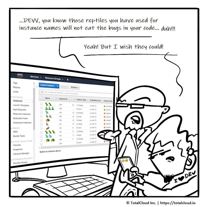 /emojis-in-aws-instance-names-b1a6cd63165e feature image