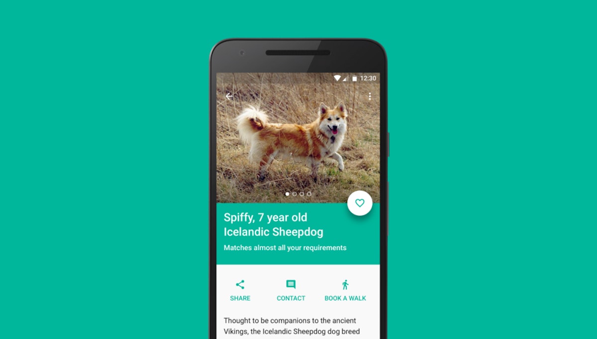 featured image - Google Design Exercise: Pet Adoption