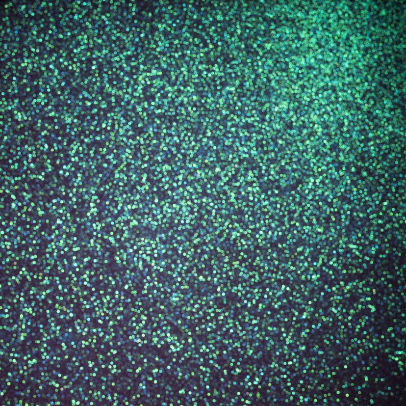 /lessons-learned-from-getting-into-the-spirit-of-continuous-release-222dffba651b feature image