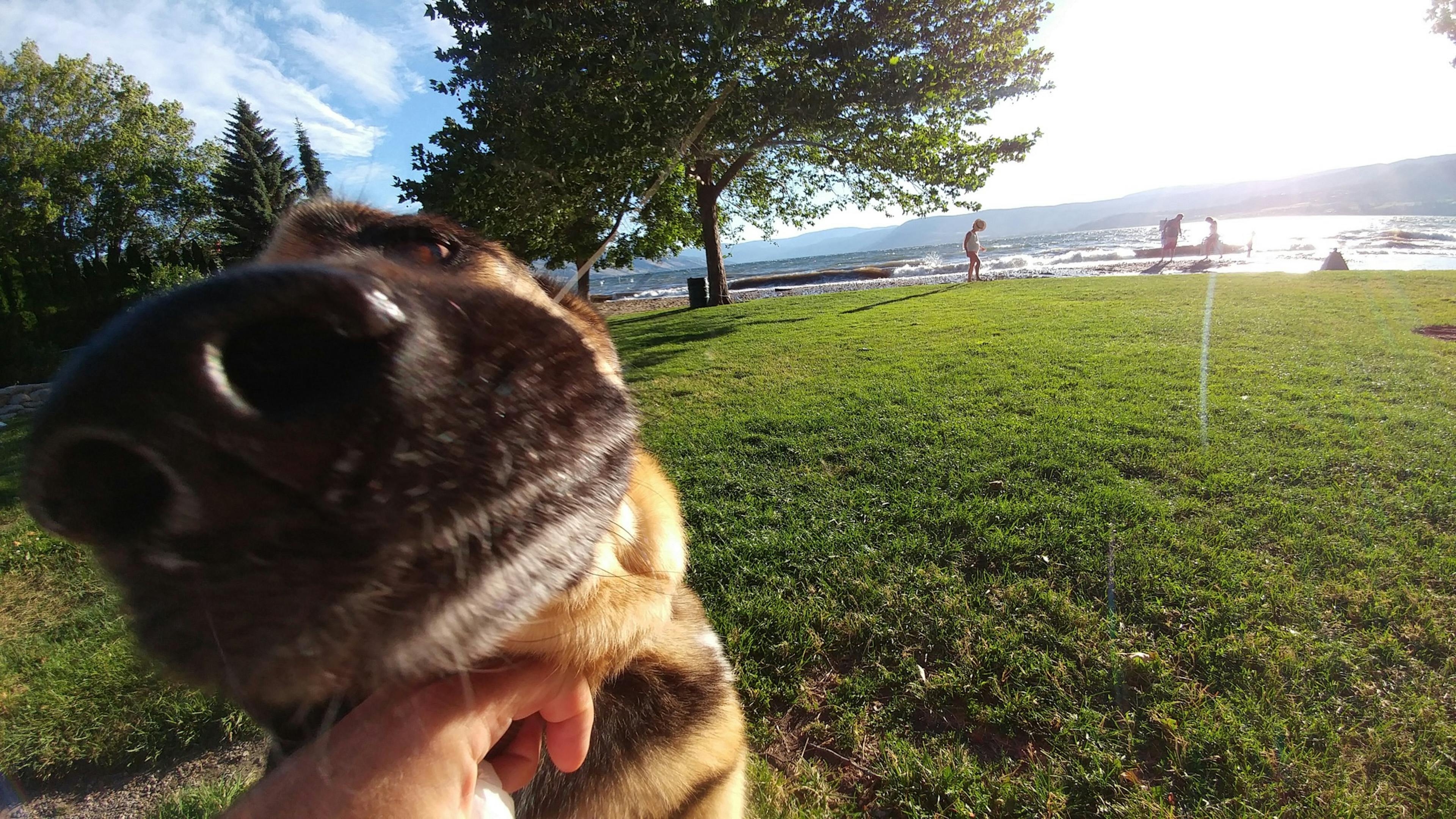 /is-there-a-silver-lining-to-f-king-up-81dd9ad3627 feature image