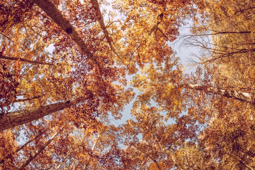 /async-testing-koa-with-jest-1b6e84521b71 feature image