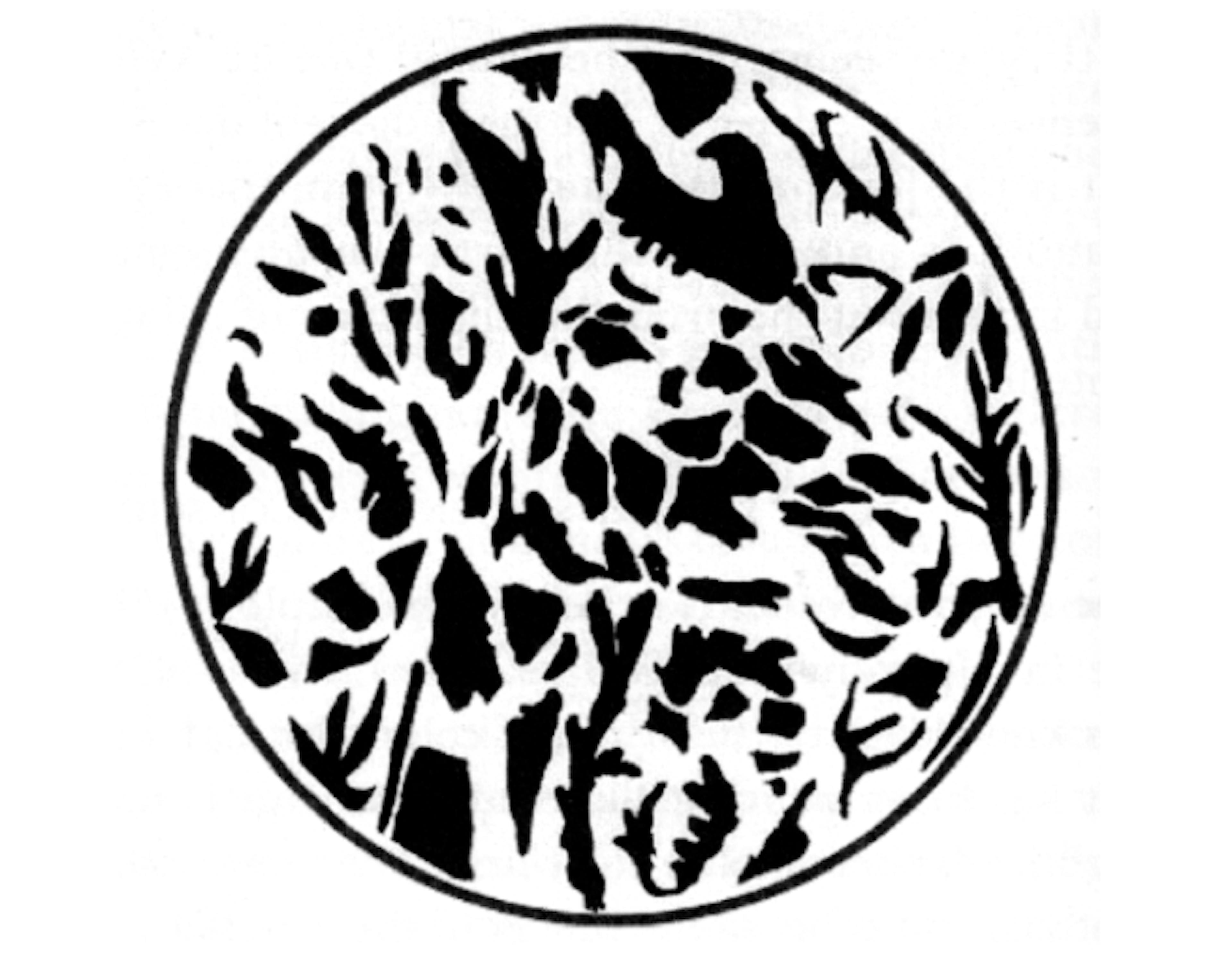Following perception up-stream: organizing ideas & the coming-into-being of phenomena