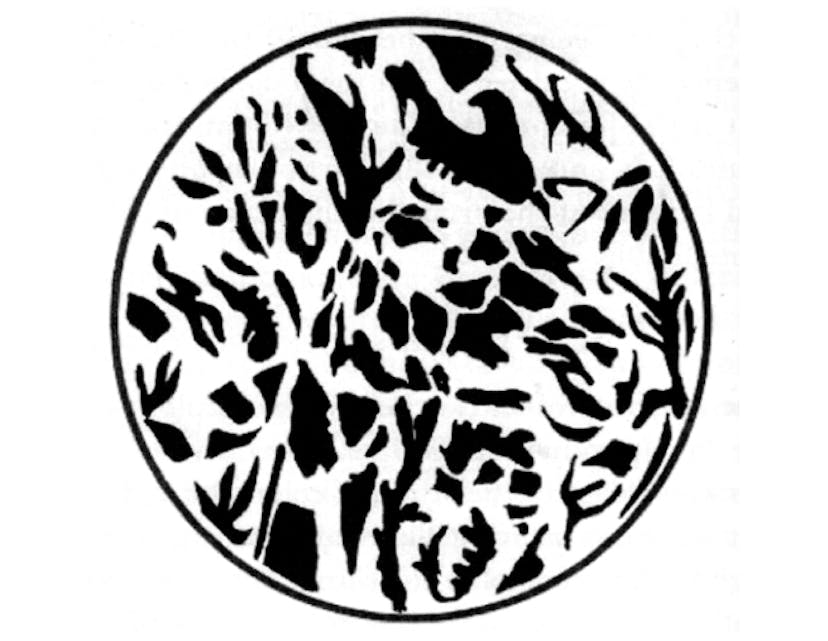 /following-perception-up-stream-organizing-ideas-the-coming-into-being-of-phenomena-240025bcc894 feature image