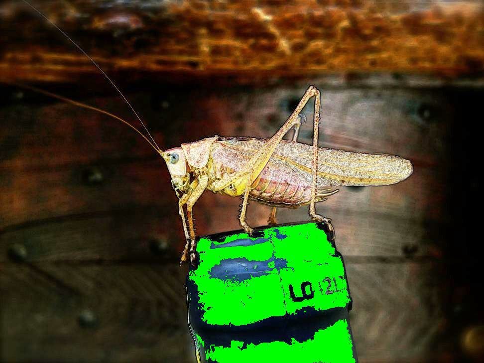 /solving-the-most-interesting-bug-of-my-career-in-15-steps-1a1ccd337c35 feature image