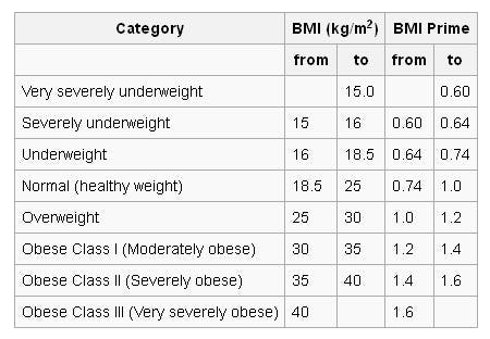 featured image - Determine your Ideal Weight by calculating your Body Mass Index on Android