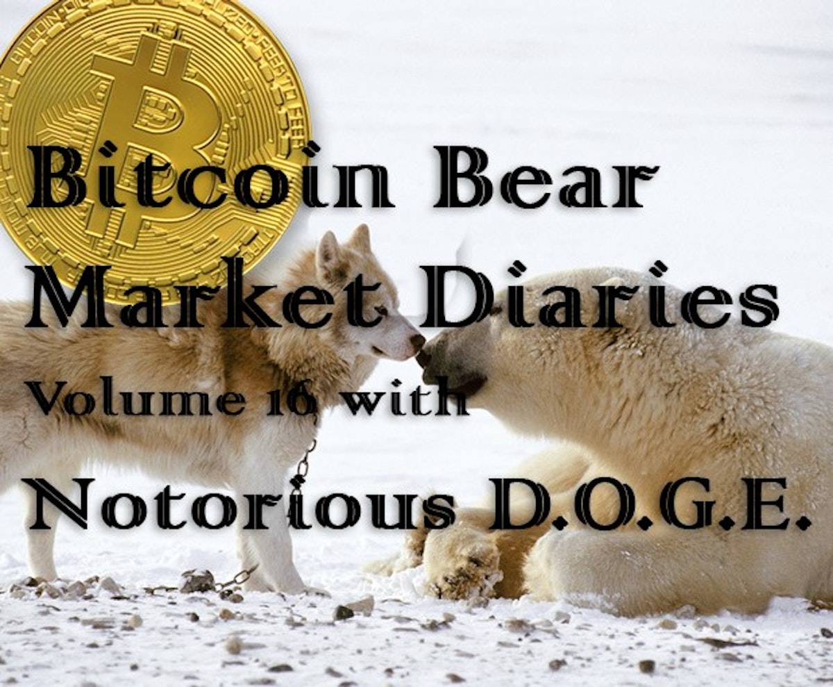 featured image - Bitcoin Bear Market Diaries Volume 16 Notorious D.O.G.E.