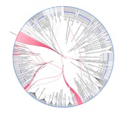 Measuring Developer Productivity HackerNoon