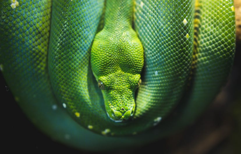 /adding-a-pipe-operator-to-python-19a3aa295642 feature image