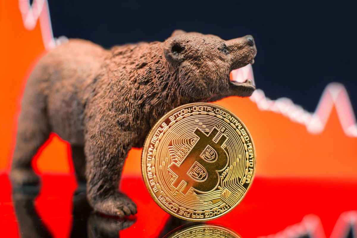 featured image - An Objective Argument To End The Cryptocurrency Bear Market