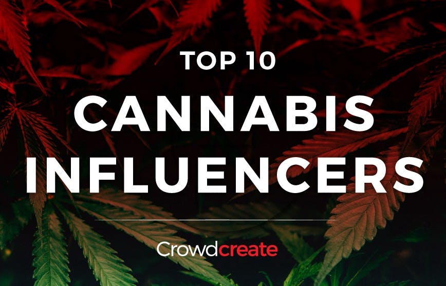 /top-10-cannabis-influencers-d4545f38f70f feature image