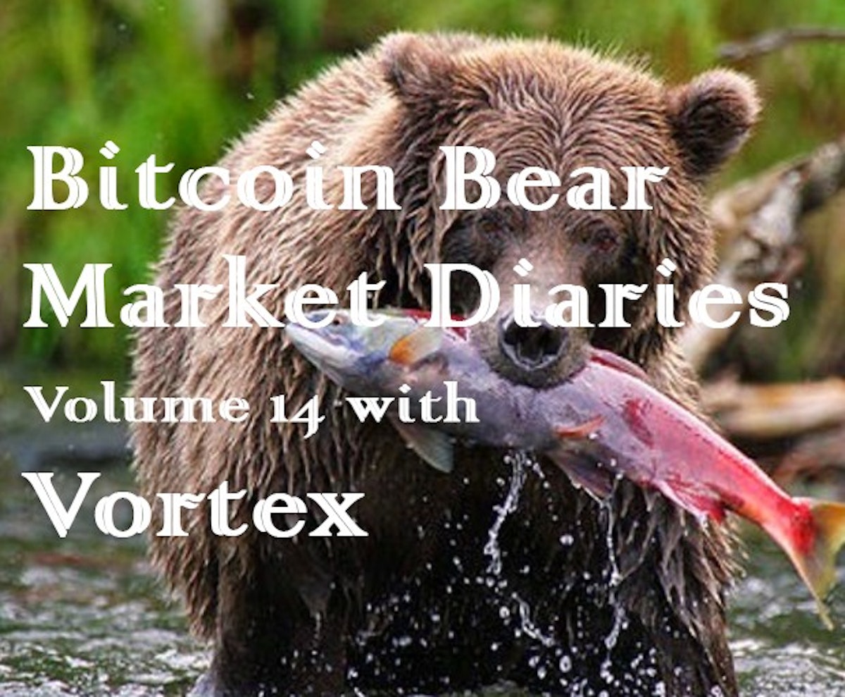 featured image - Bitcoin Bear Market Diaries Volume 14 with Vortex
