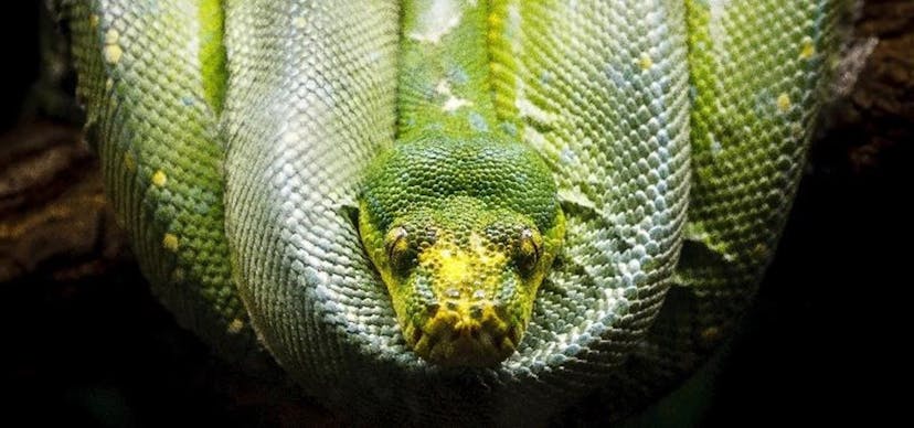 /a-pip-hack-to-upgrade-all-your-python-packages-492658c49681 feature image