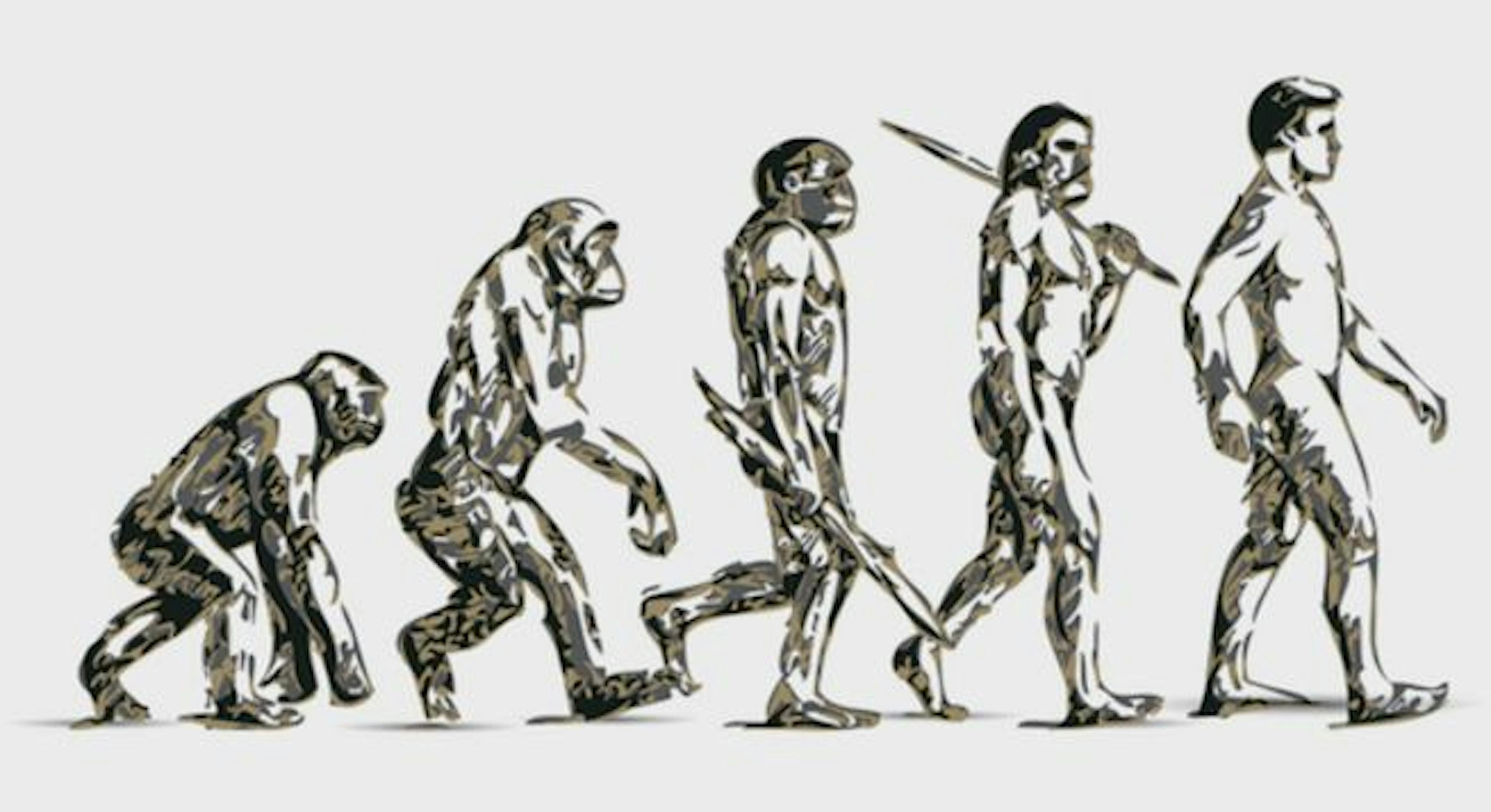 EVOLUTION OF IMAGE RECOGNITION AND OBJECT DETECTION: FROM APES TO MACHINES