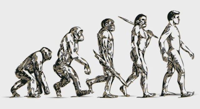 /evolution-of-image-recognition-and-object-detection-from-apes-to-machines-580ed4247f1e feature image