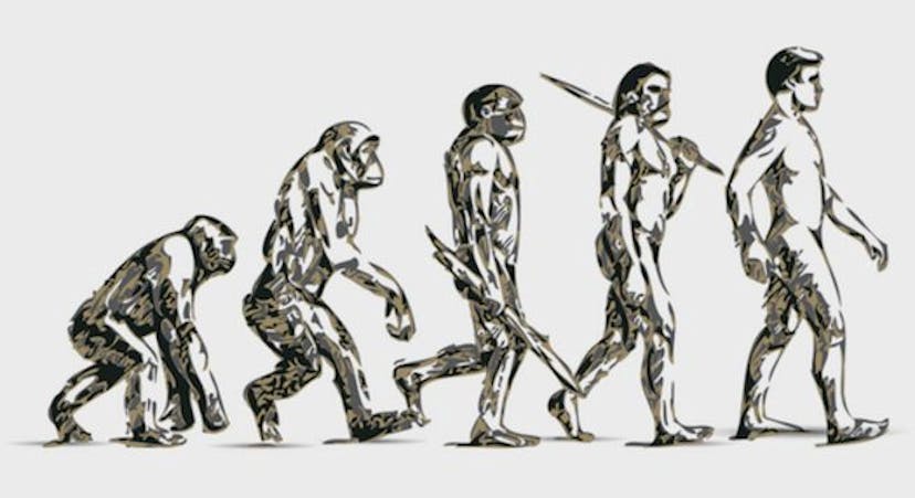 /evolution-of-image-recognition-and-object-detection-from-apes-to-machines-580ed4247f1e feature image