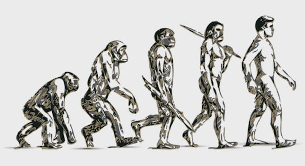 featured image - EVOLUTION OF IMAGE RECOGNITION AND OBJECT DETECTION: FROM APES TO MACHINES