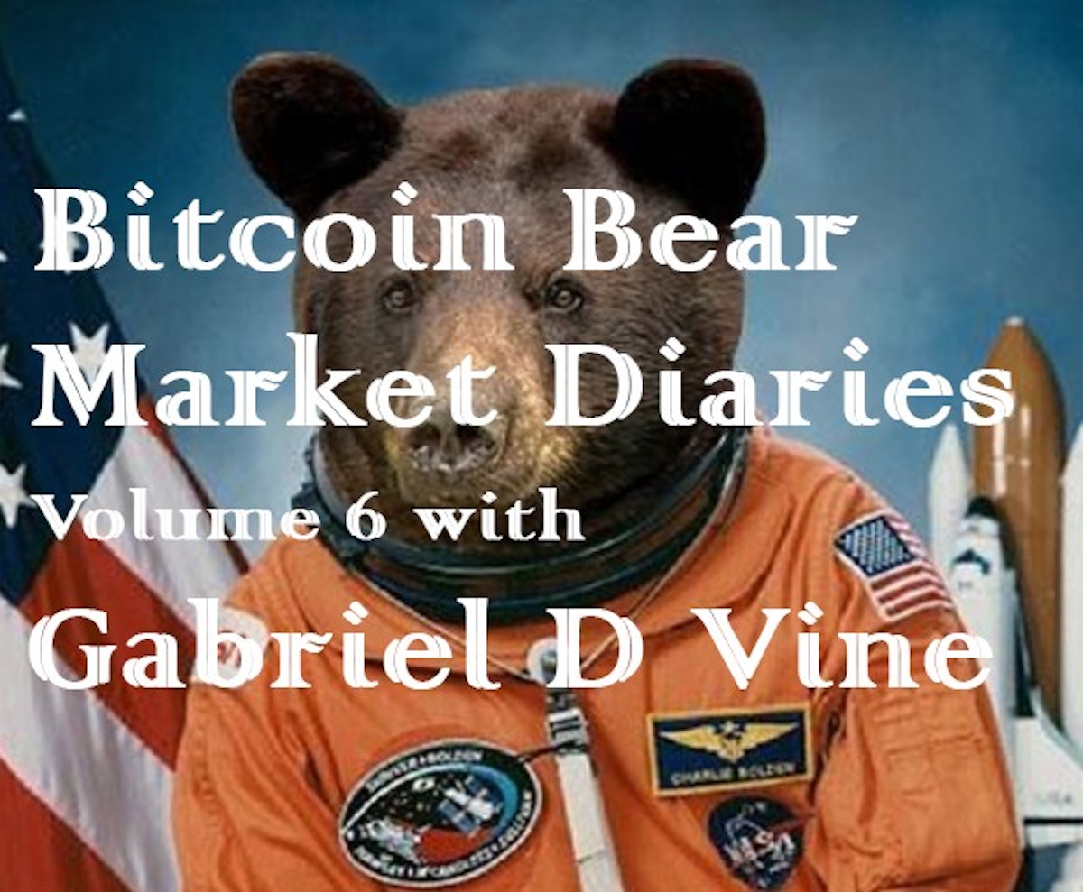 featured image - Bitcoin Bear Market Diaries Volume 6 with Gabriel D Vine