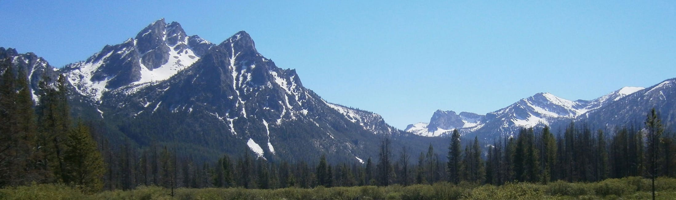 /creating-understanding-the-premise-behind-clearfactr-3a8be7e5a3af feature image