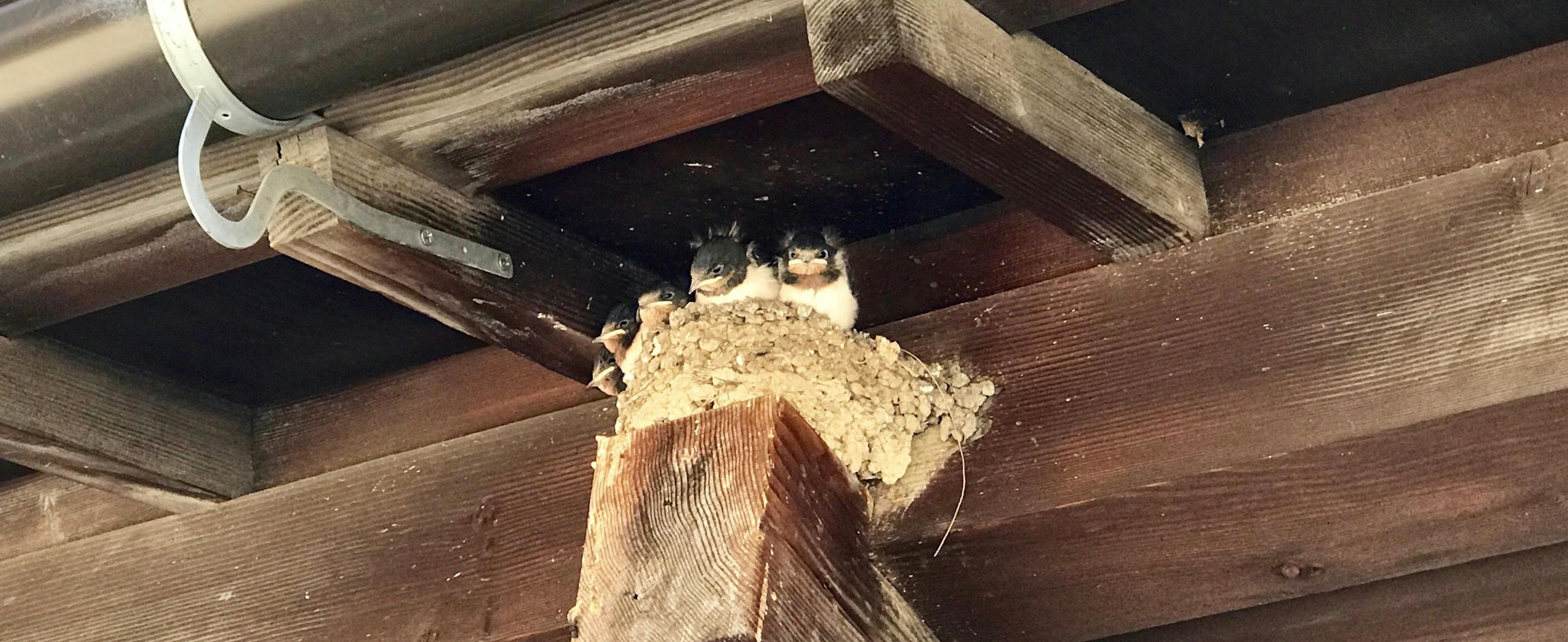 /5-reasons-why-we-should-study-and-embrace-artificial-intelligence-8ba31c4d0c7f feature image