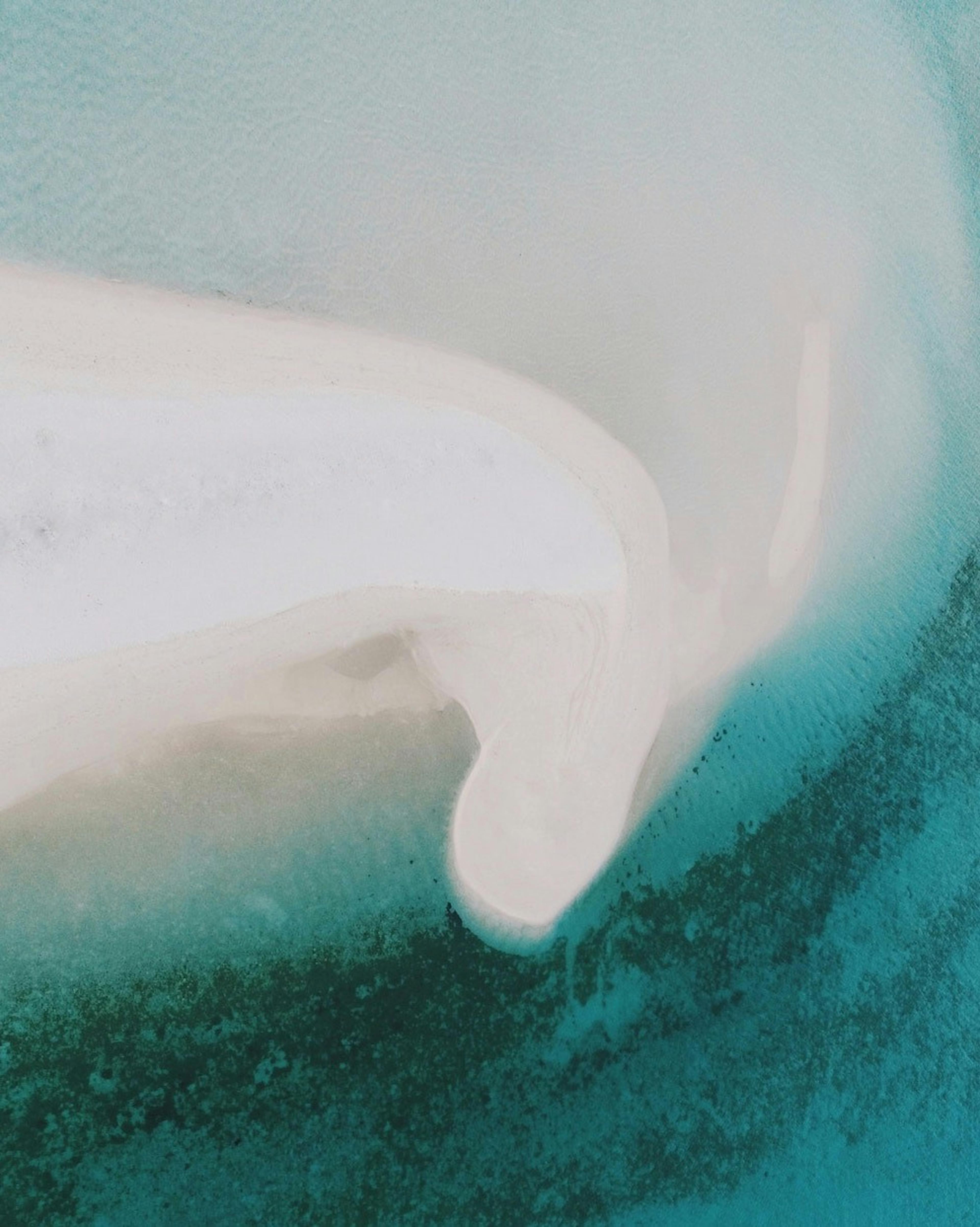 /how-to-find-inspiration-f8471be903eb feature image