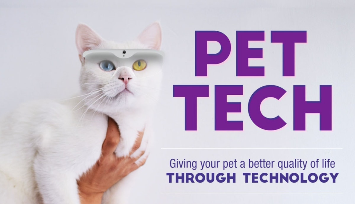featured image - How Tech is Changing the Game for the Pet Industry