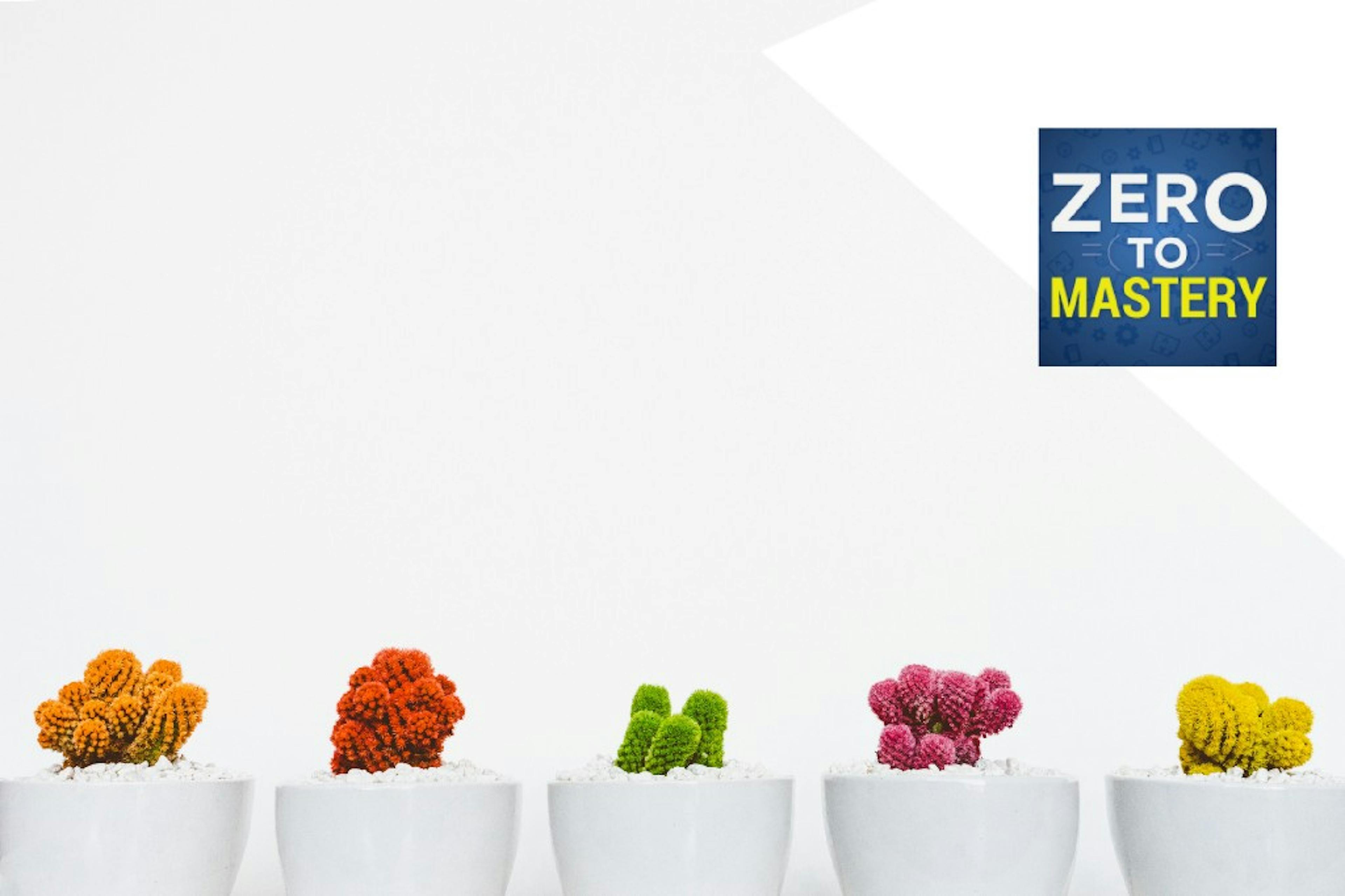 Full-time Developer in just a few months: Zero to Mastery case studies