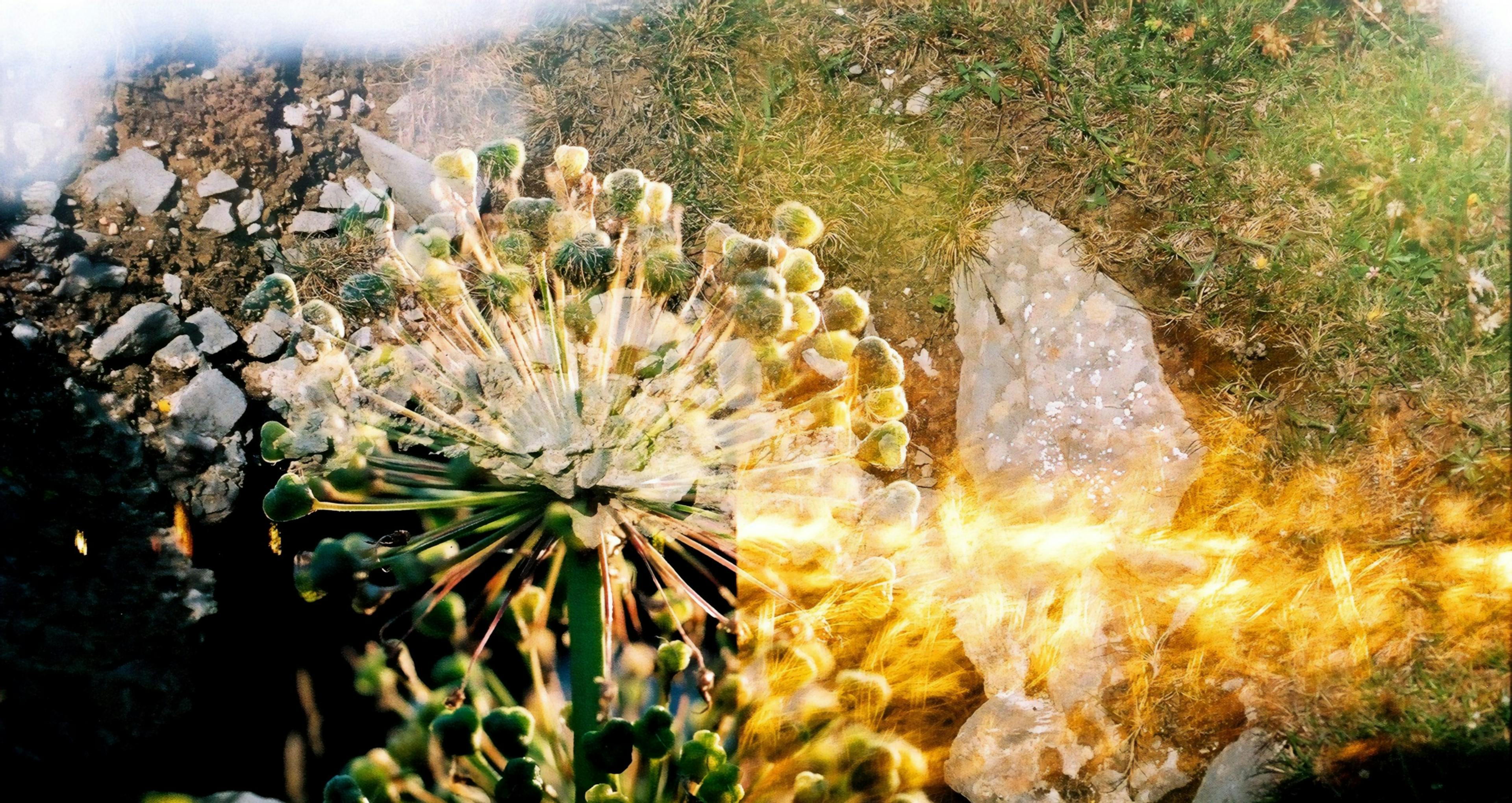 /piecing-together-graphql-ca6739cd8205 feature image