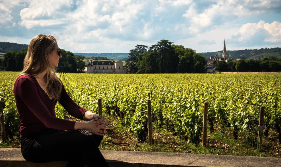 /enkronos-ico-review-how-ai-iot-can-smarten-the-worlds-farmlands-fcfba9ca2d1b feature image