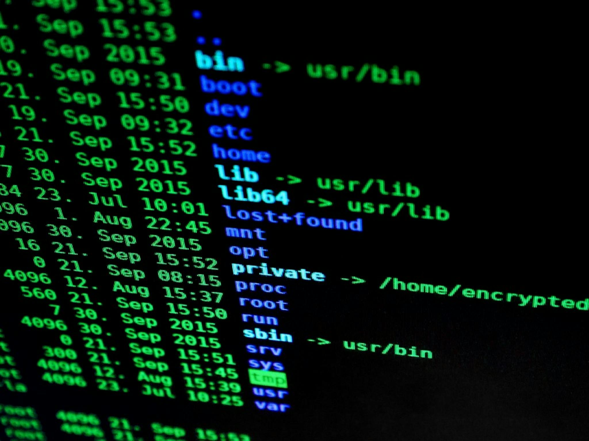 featured image - Linux Survival Guide for Beginners