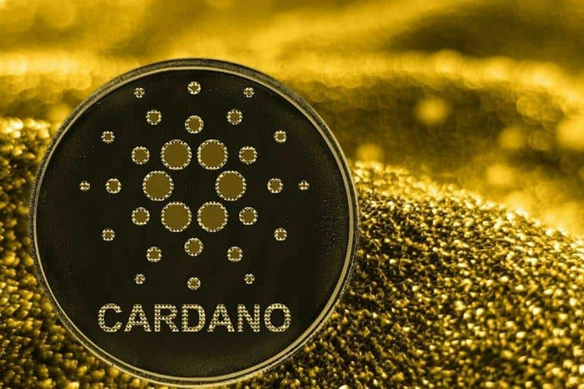 Photo Source: https://www.coinnewsspan.com/cardano-ada-struggles-to-keep-bears-away-price-trend-lacks-momentum/%C3%A5