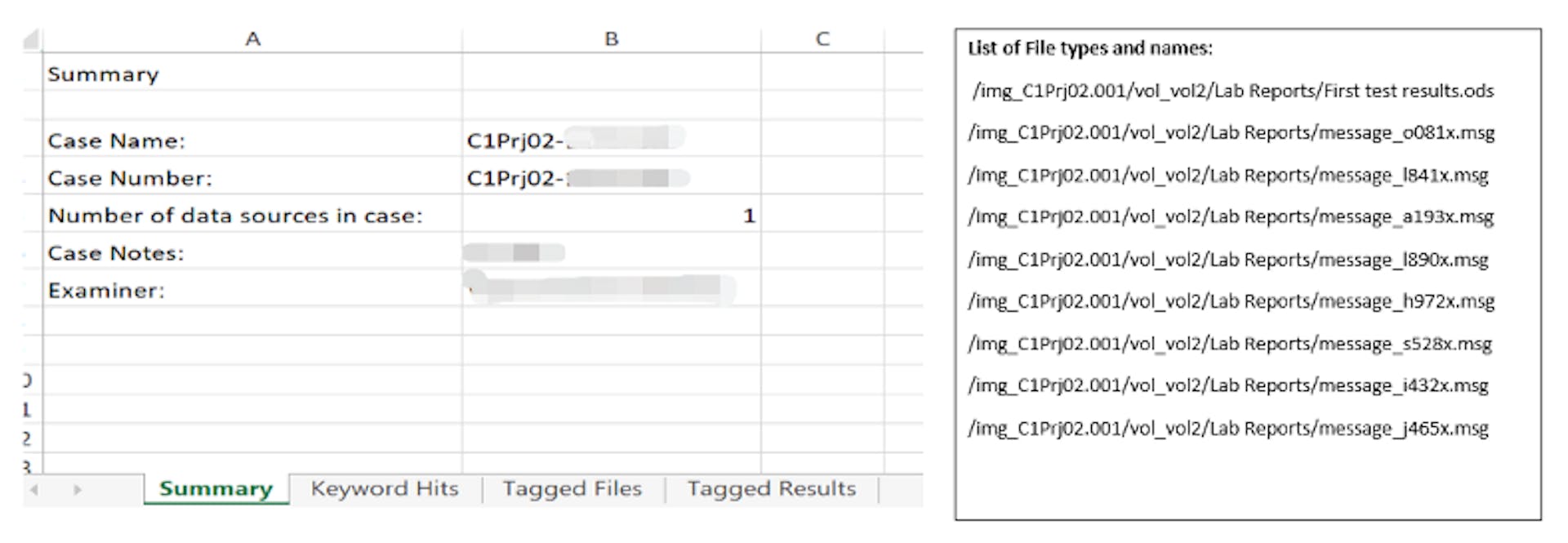 Figure 14. List of File types and file names with Memo report.