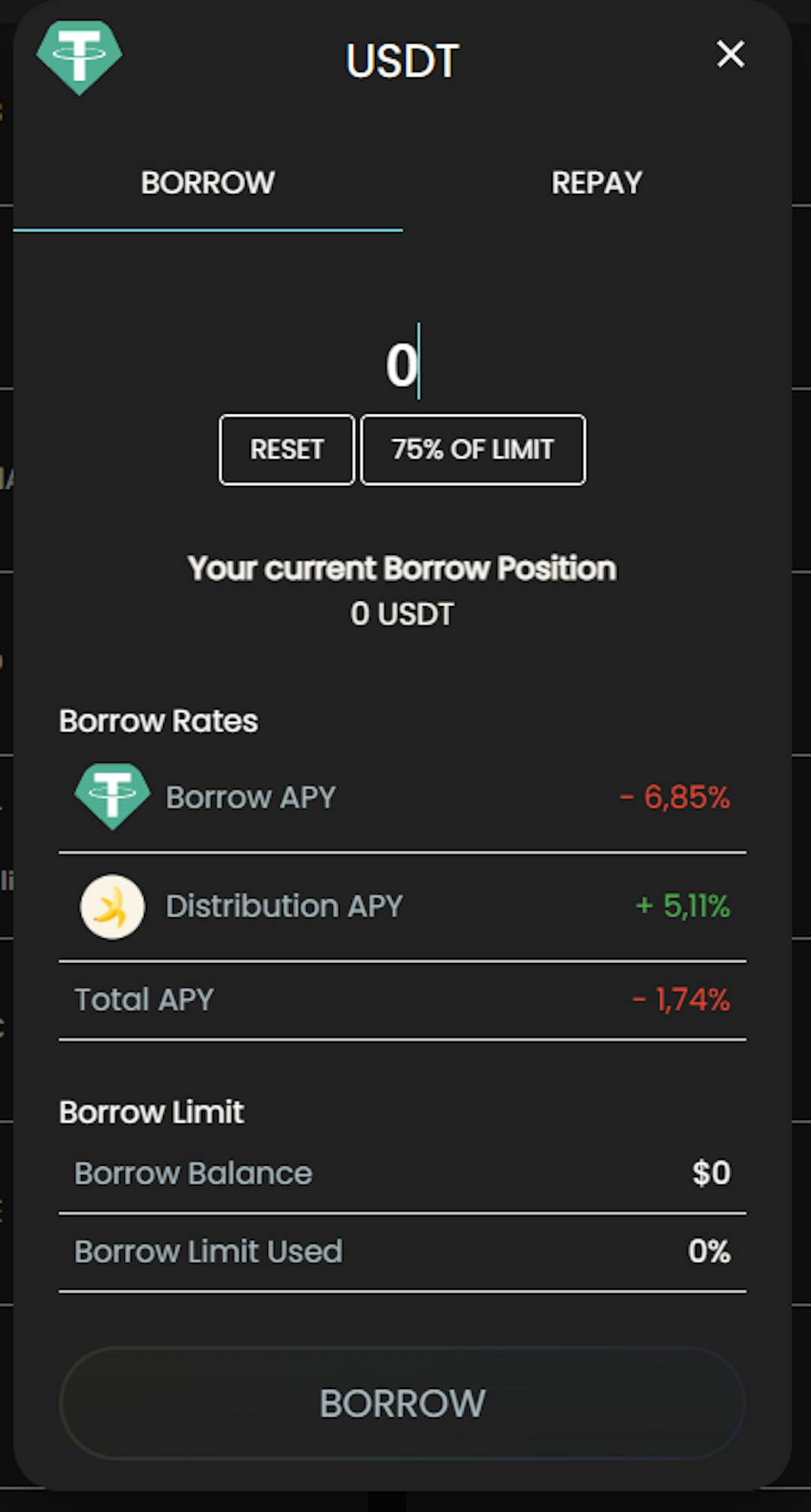 USDT Borrow Form