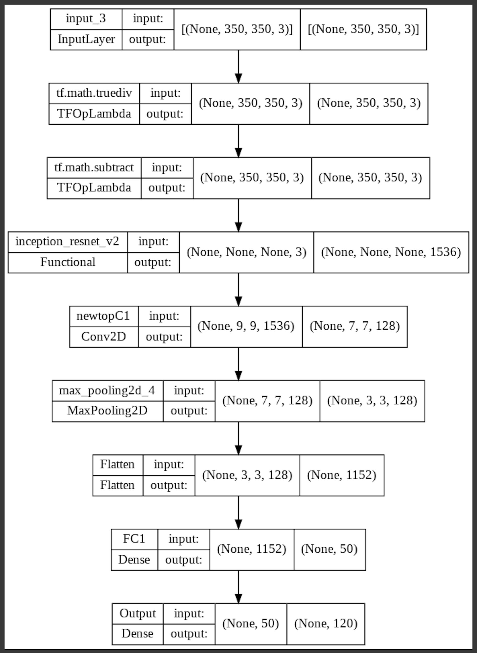 Standalone Model using InceptionResNet