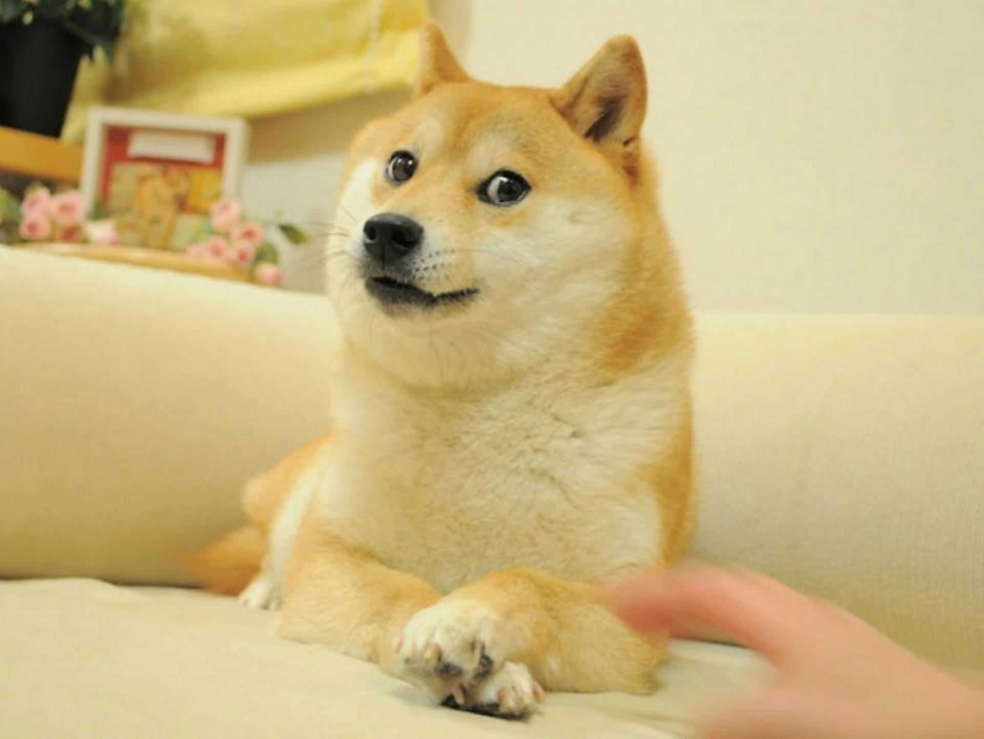The Doge NFT is divided into 17 billion pieces called DOG tokens