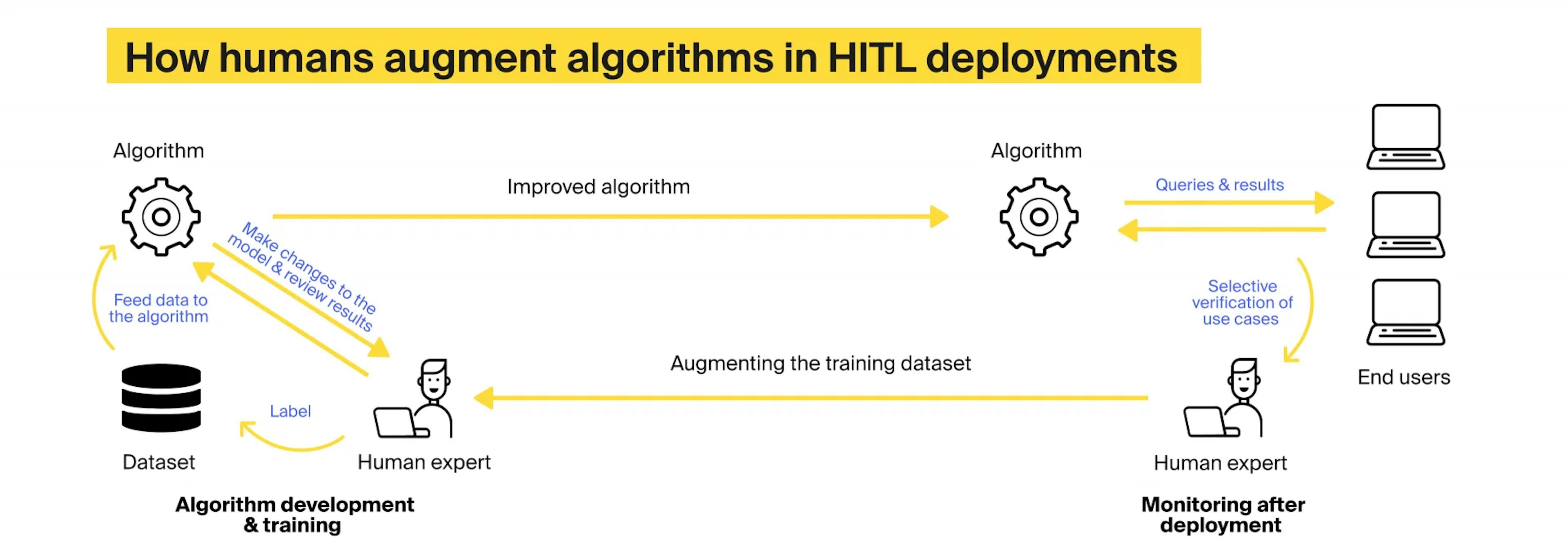 Image: the role of human experts in human in the loop machine learning