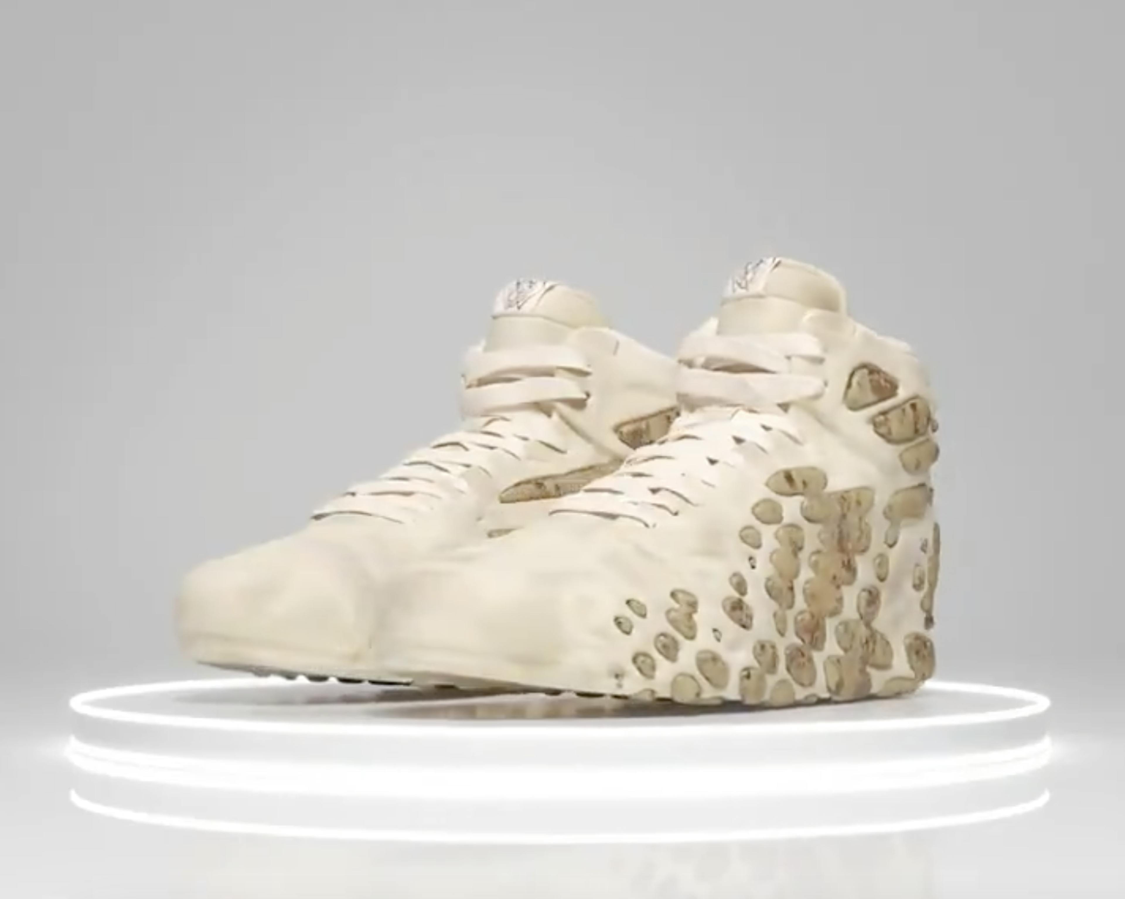 The "Bone Animal" Edition of Air Wild Shoes