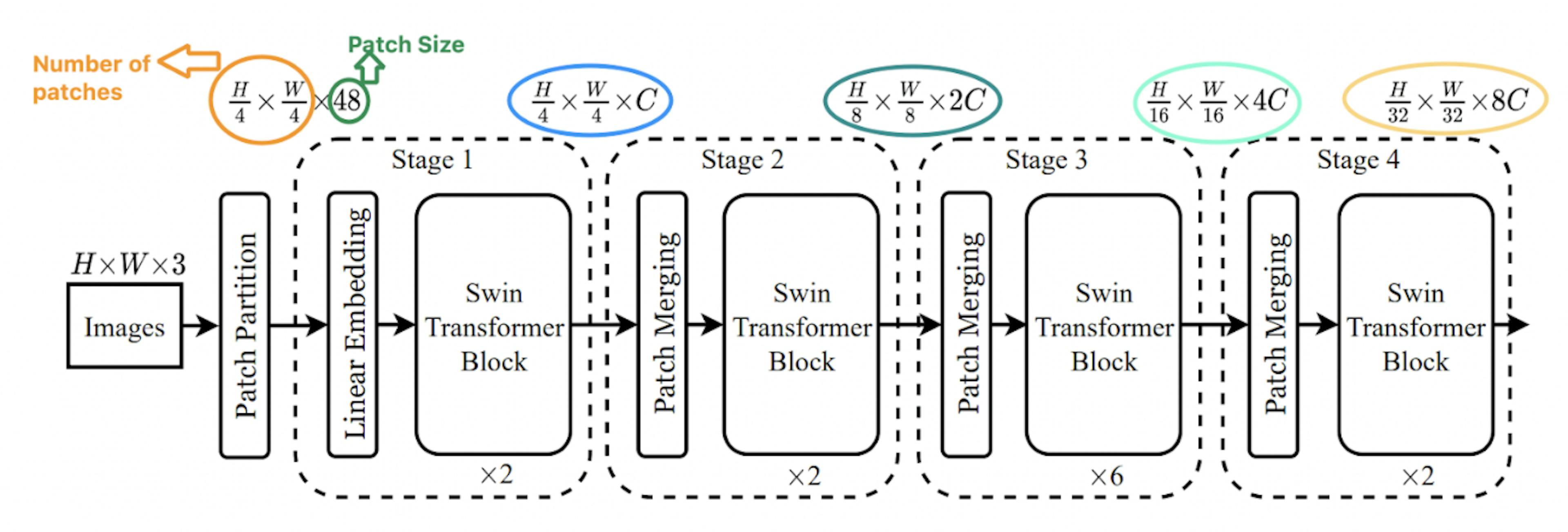 Image: From the SWIN paper  and edited