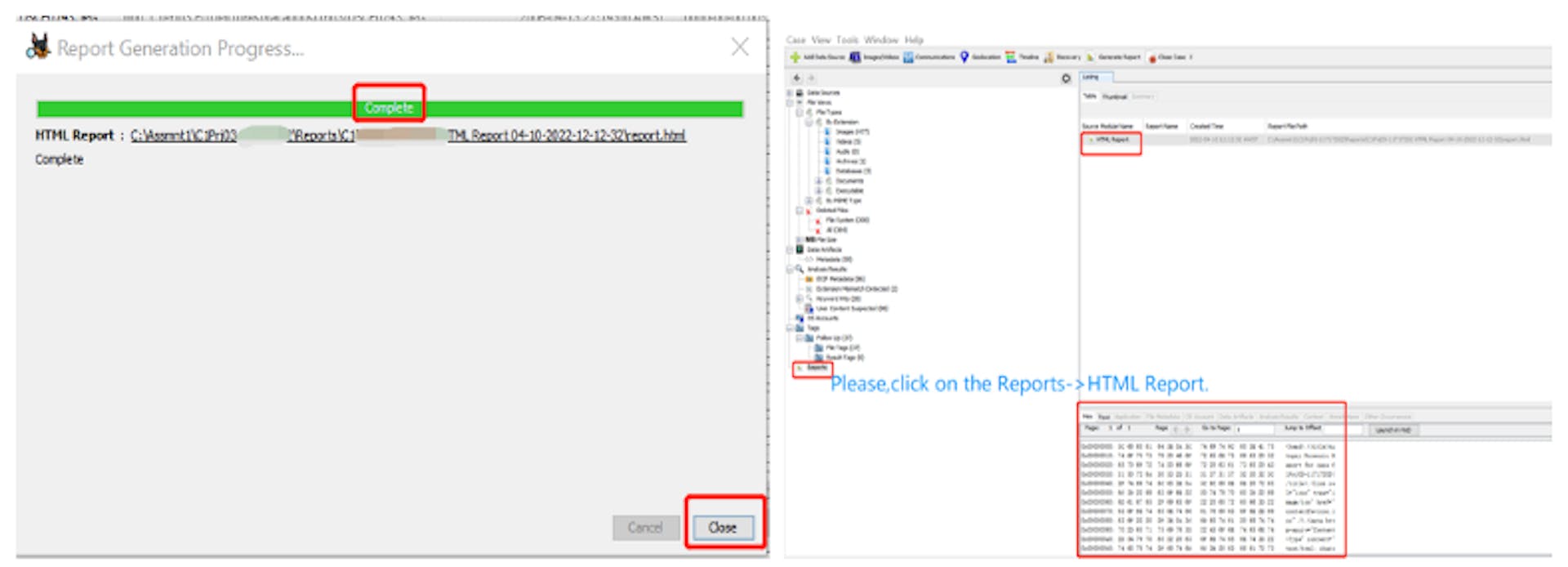 Figure 13. To Generate Reports with Tagged Files.