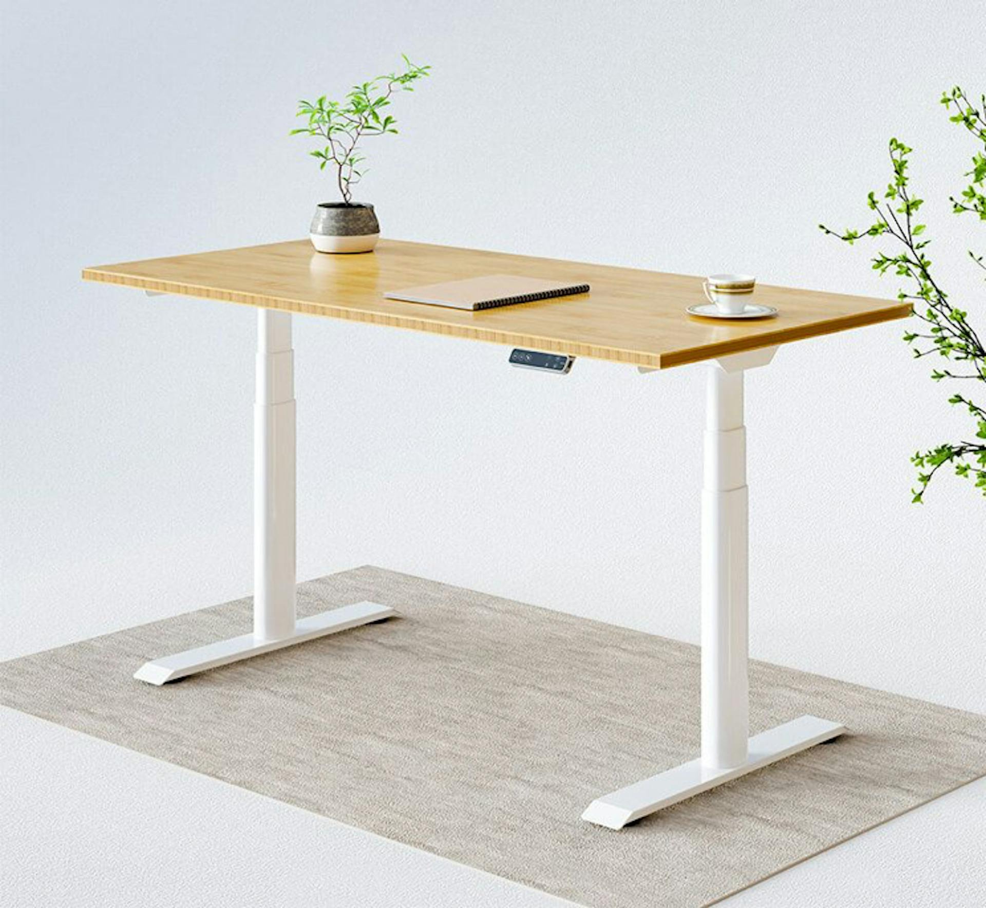 FlexiSpot Kana Pro Bamboo Standing Desk