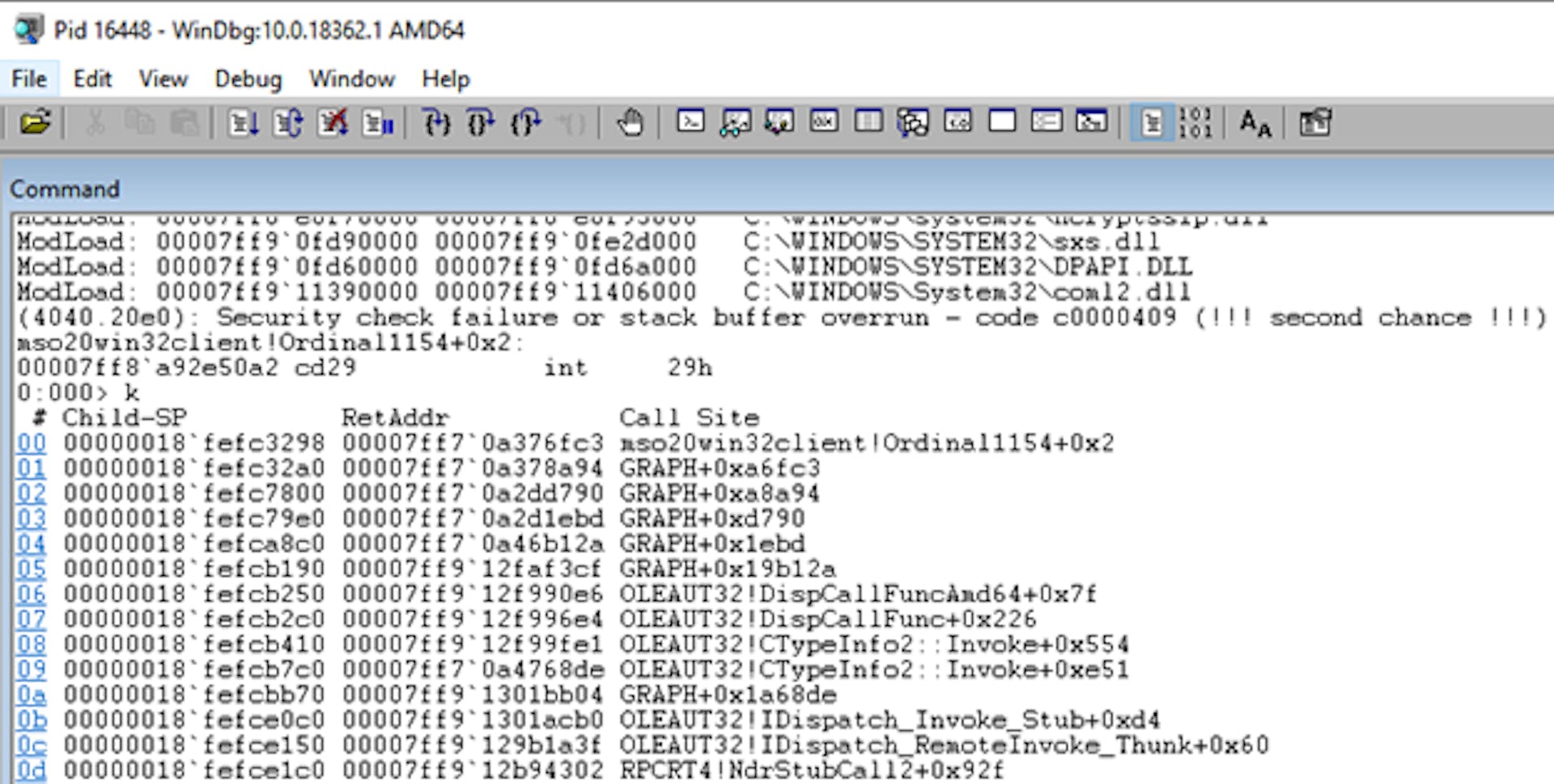 Figure 2: int29h crash generated by a radamsa-mutated input.