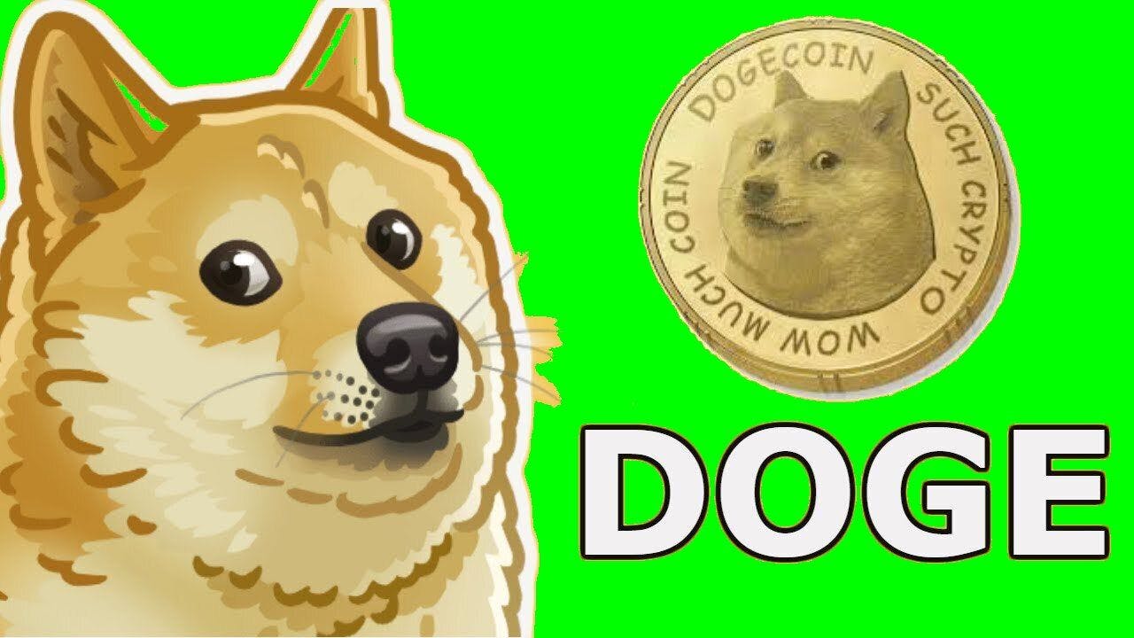featured image - Why You Should Be Careful Investing in Dogecoin 
