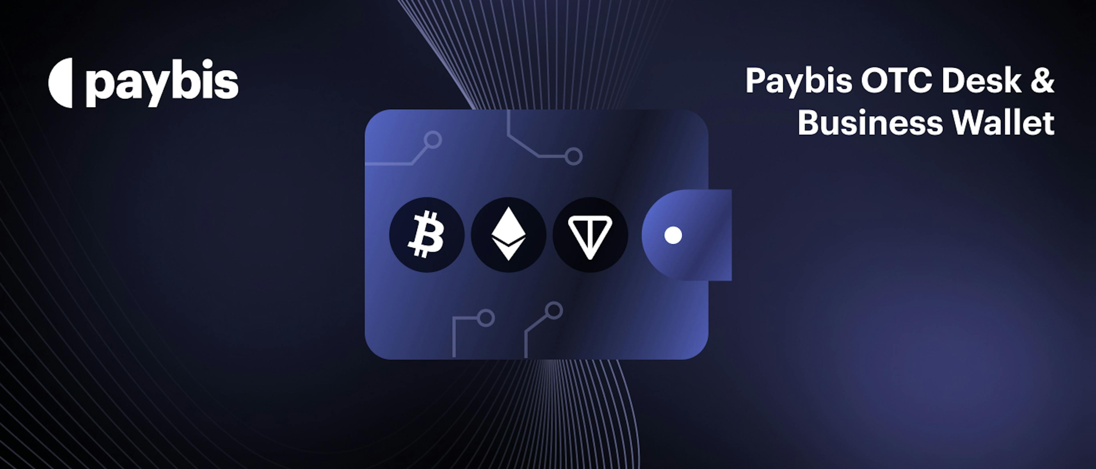 featured image - Over 200 Businesses Join Paybis’ Crypto Business Wallet in Q4