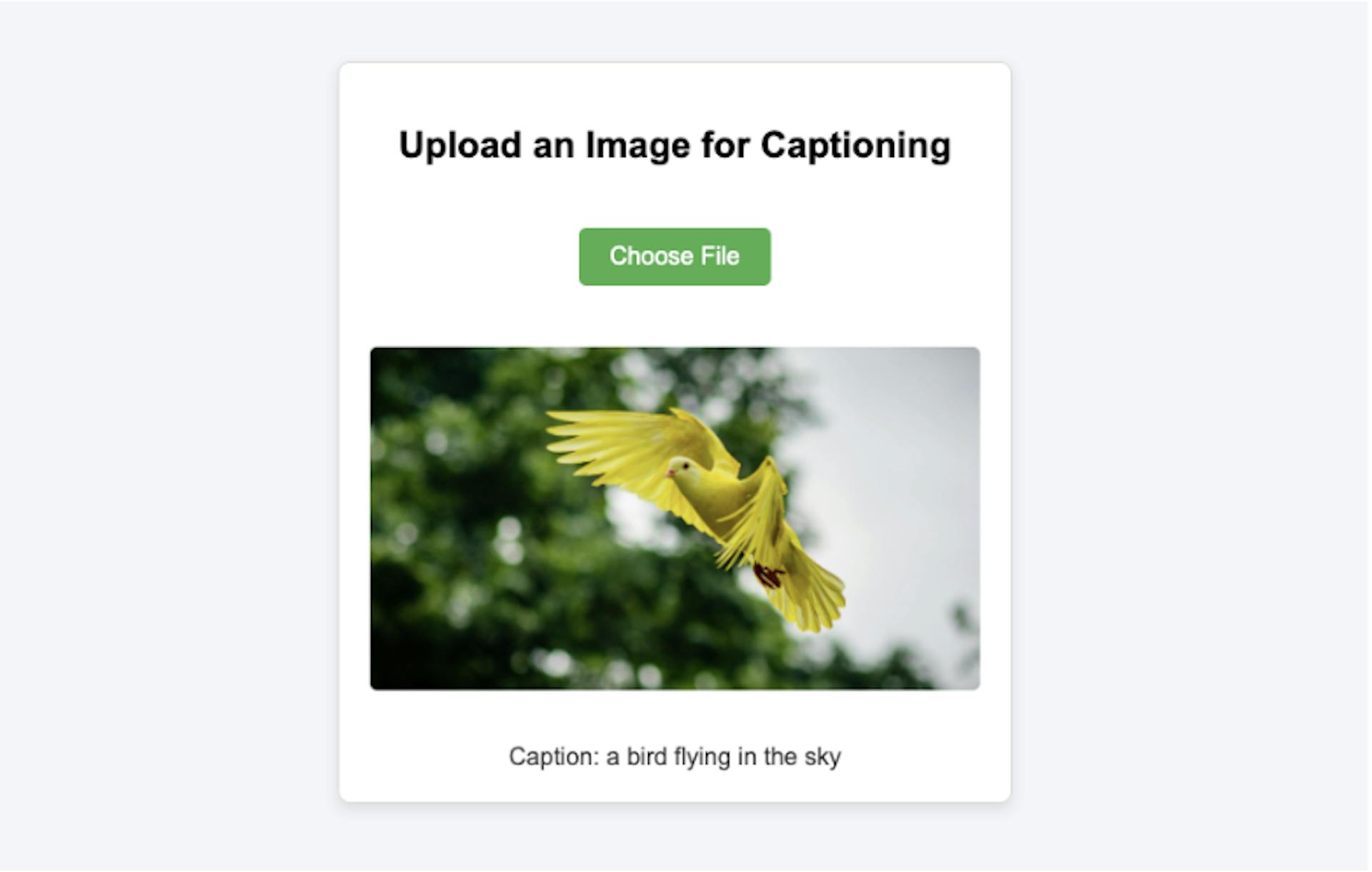 Filestack Image Captioning App - Output Screen