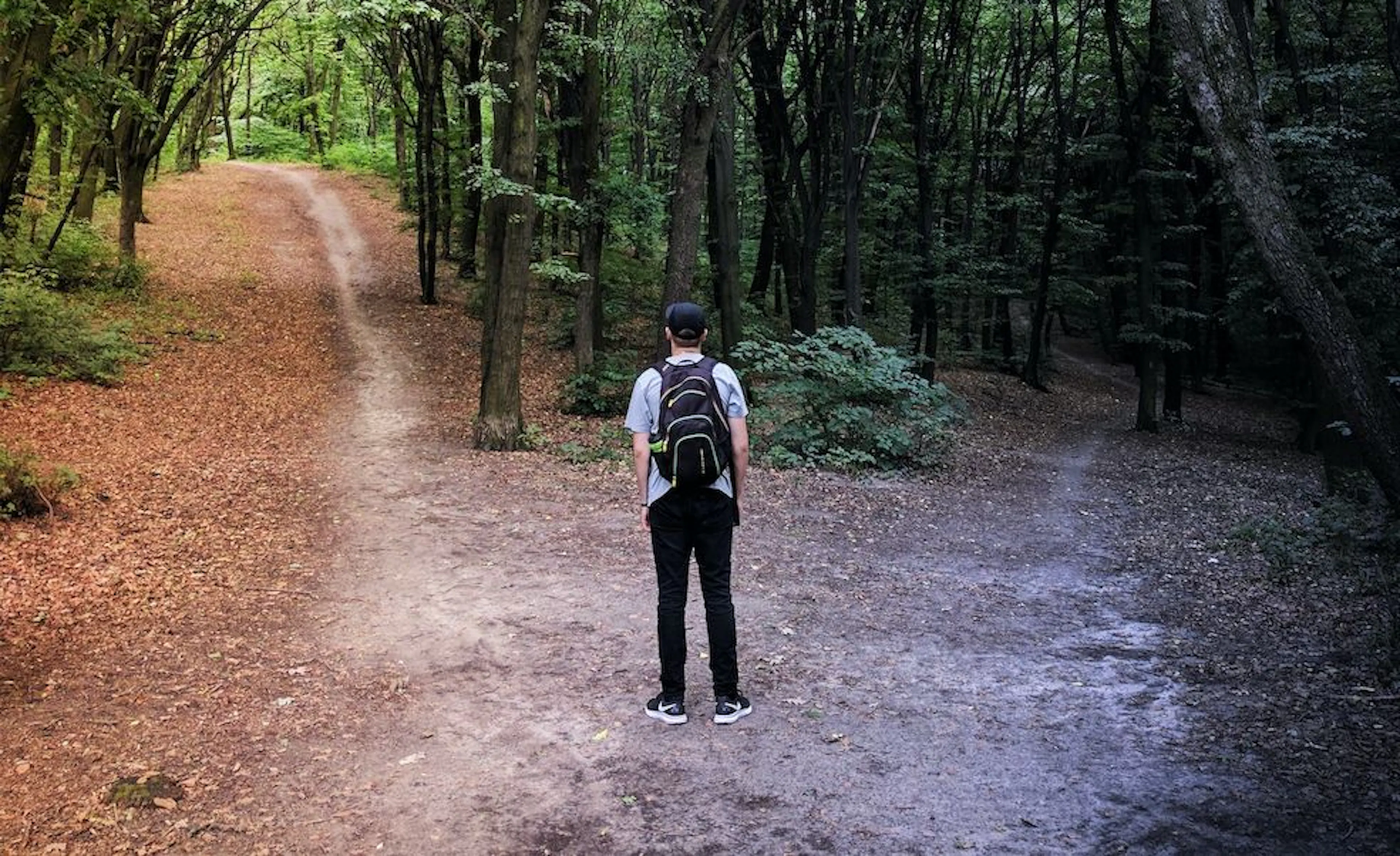 Apache Druid, TiDB, ClickHouse, or Apache Doris? A Comparison of OLAP Tools